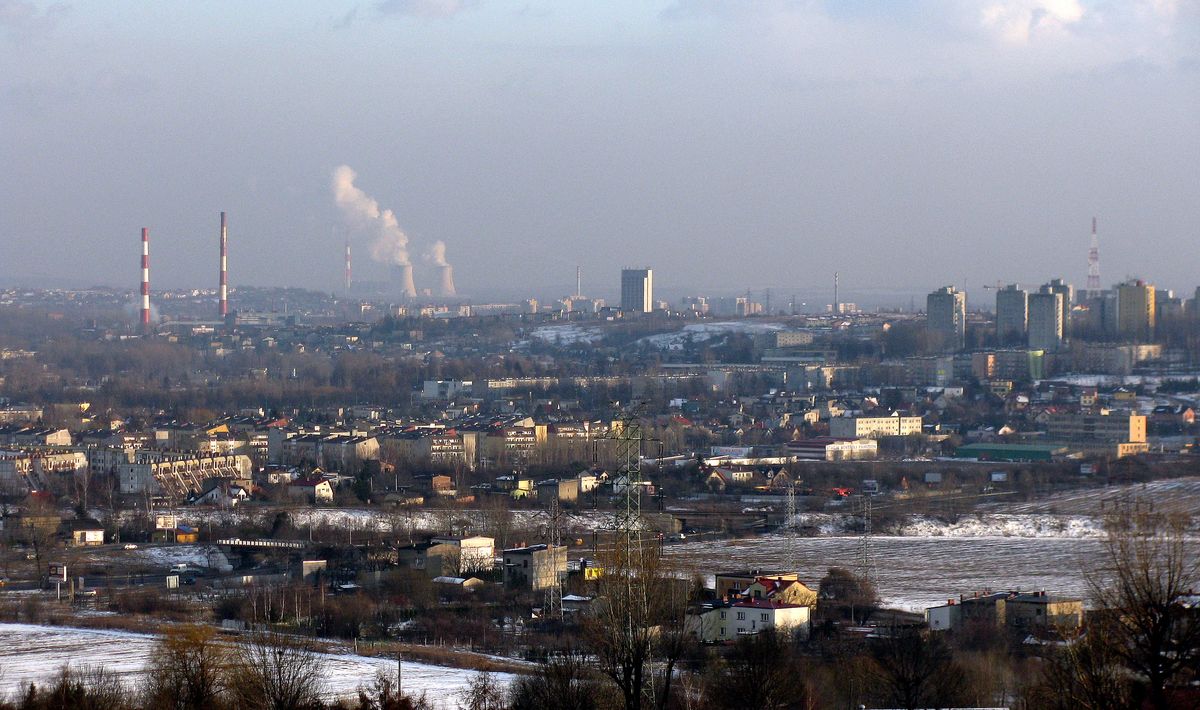 Panorama Zagłębia - bliższa.jpg