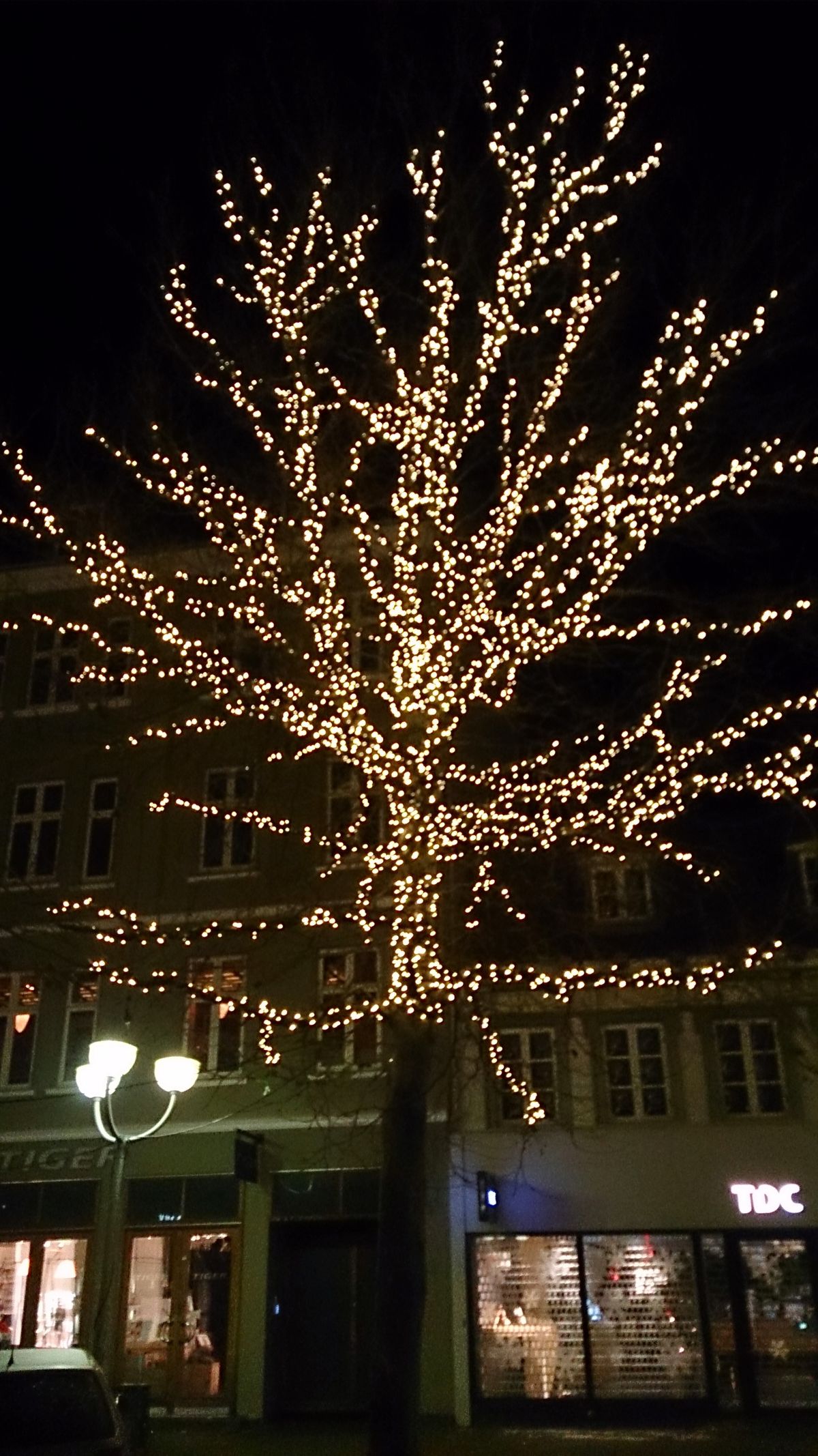 A tree in the city Horsens in Denmark a day before the first December.