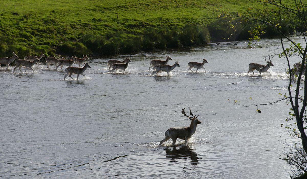 river crossing