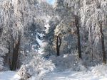 Öffentlich (zabawa1)