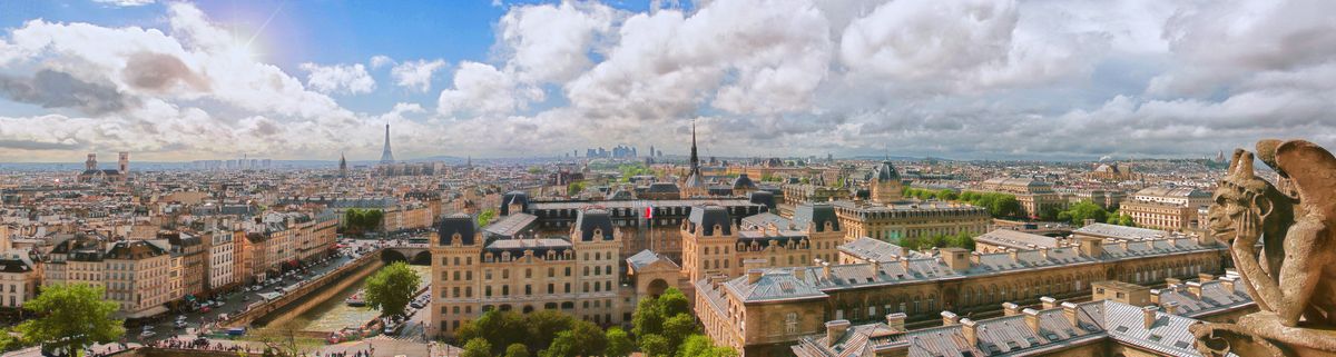 Blick über Paris von Notre Dame