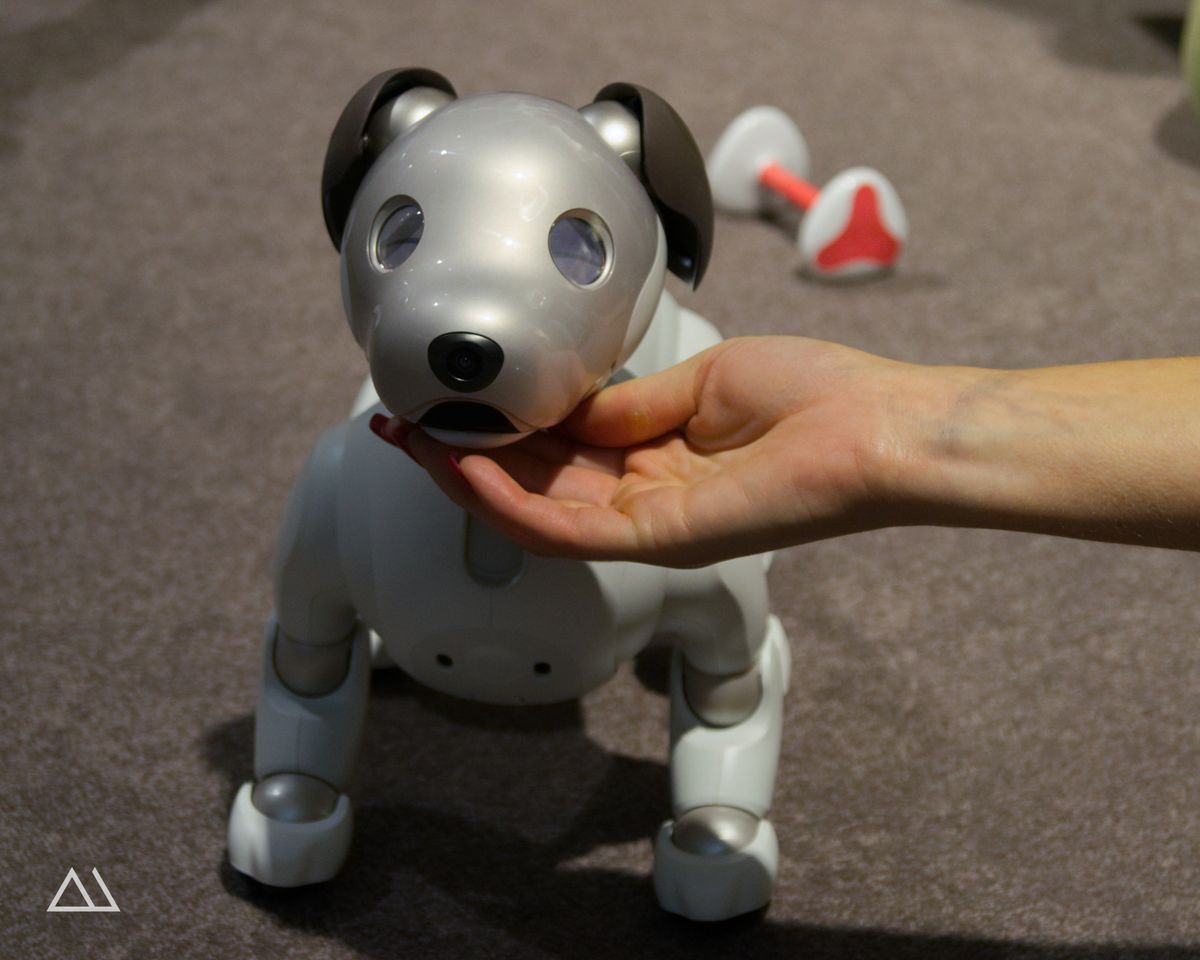 AIBO auf der IFA 2018