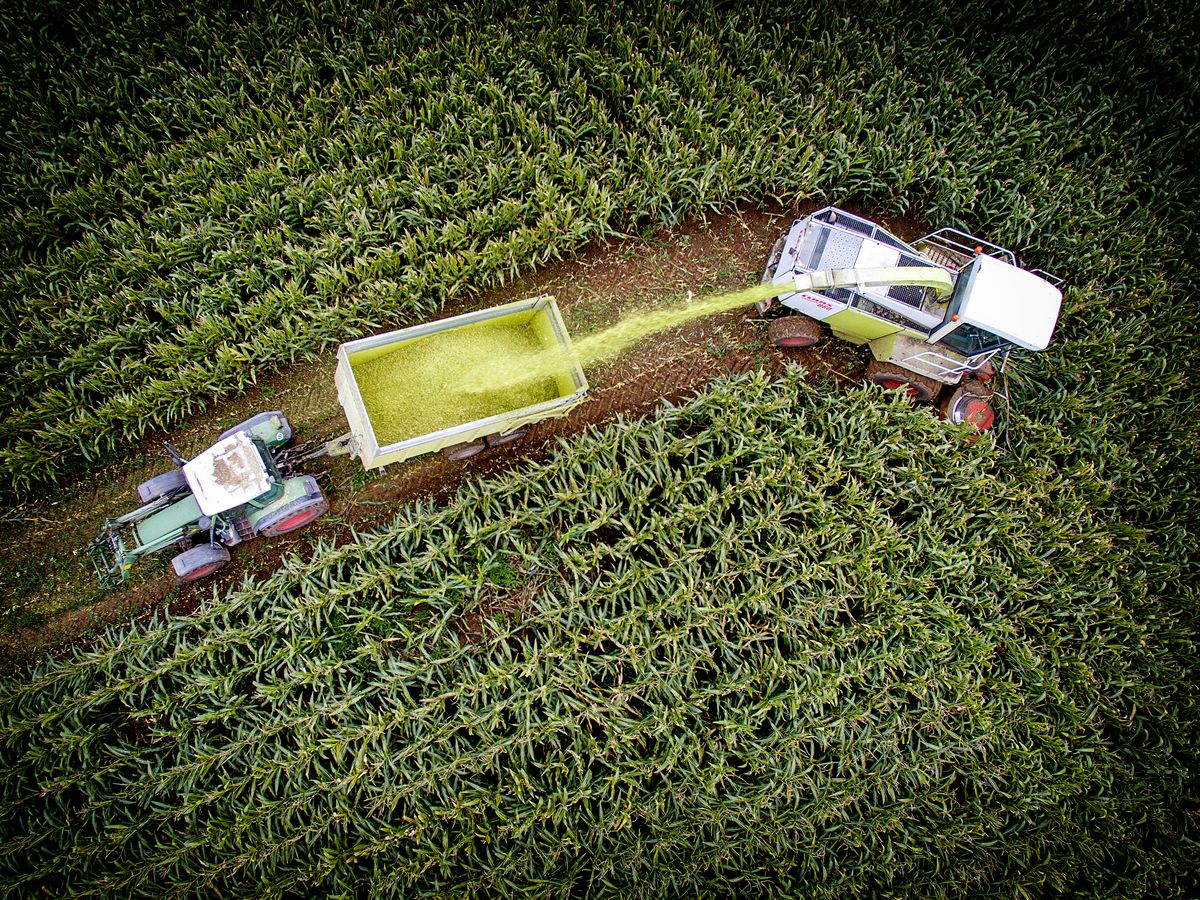 Verkehr und Transport auf dem 'Feld