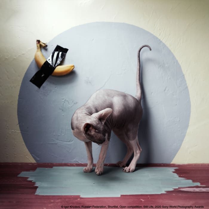 Игорь Крюков "Сфинкс и искусство", шорт-лист в категории "Натюрморт" (камера ILCE-7RM3) © Igor Kryukov, Russian Federation, Shortlist, Open competition, Still Life, 2020 Sony World Photography Awards
