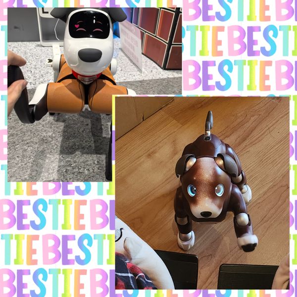 1000091133.jpg 1000091133.jpg