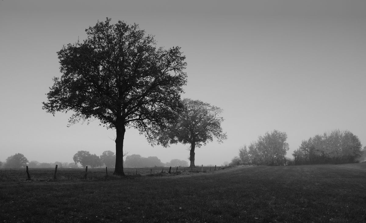 Auch der November hat seine Reize.