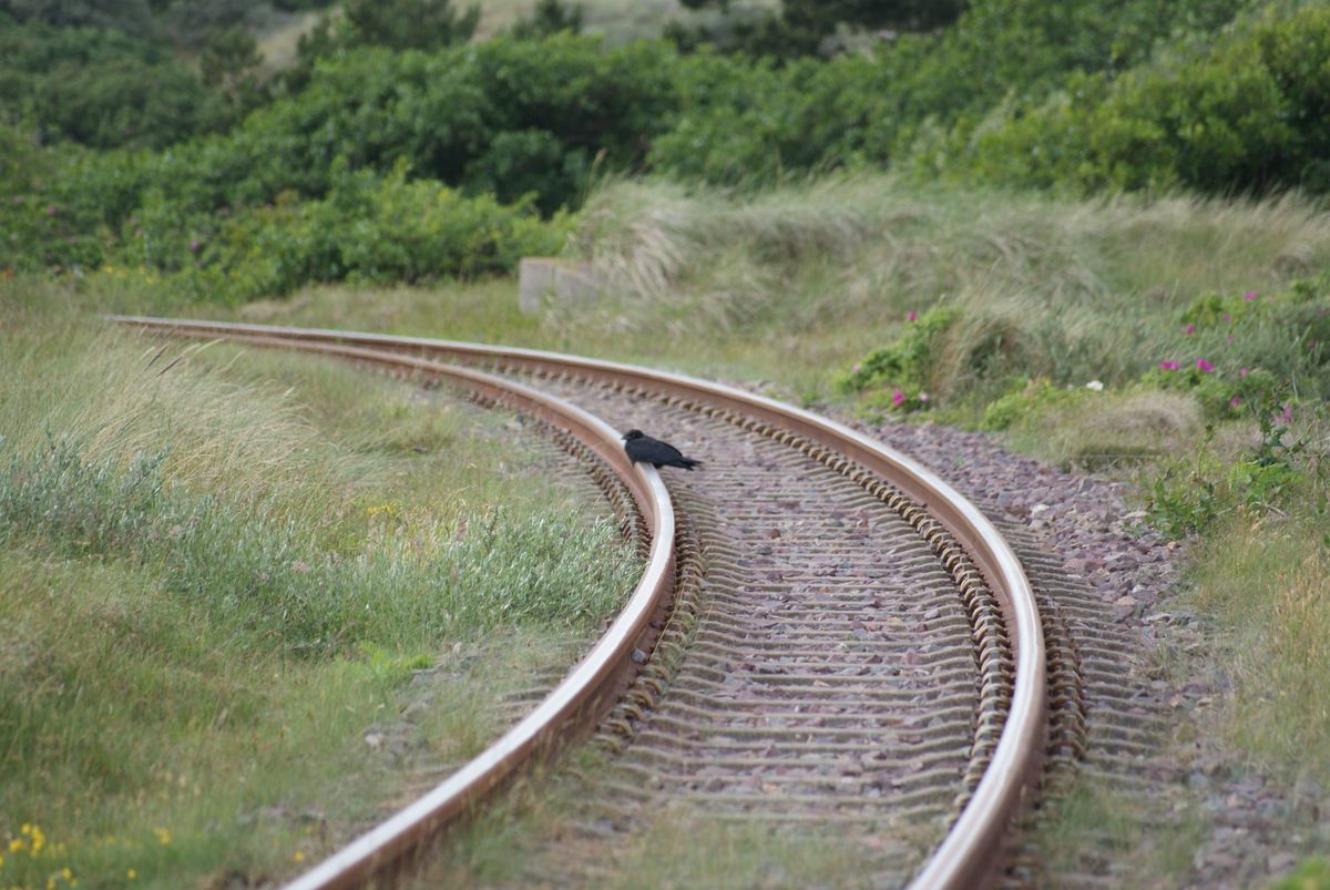 Wangerooge