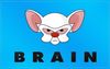 pinky-and-the-brain-flag-wallpaper-2560x1600-large2.jpg