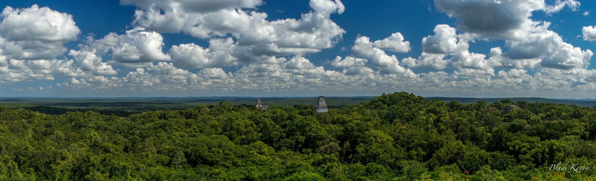 Vue depuis le sommet d'une pyramide perdue en pleine jungle.