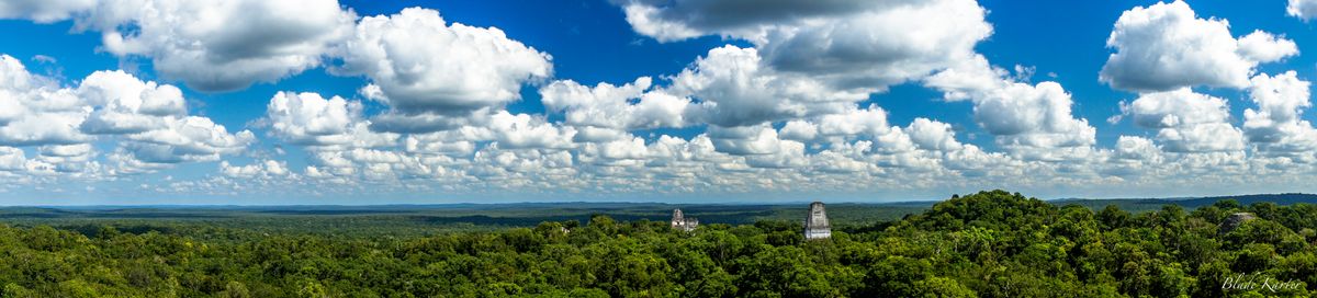 La cité perdue en pleine forêt...